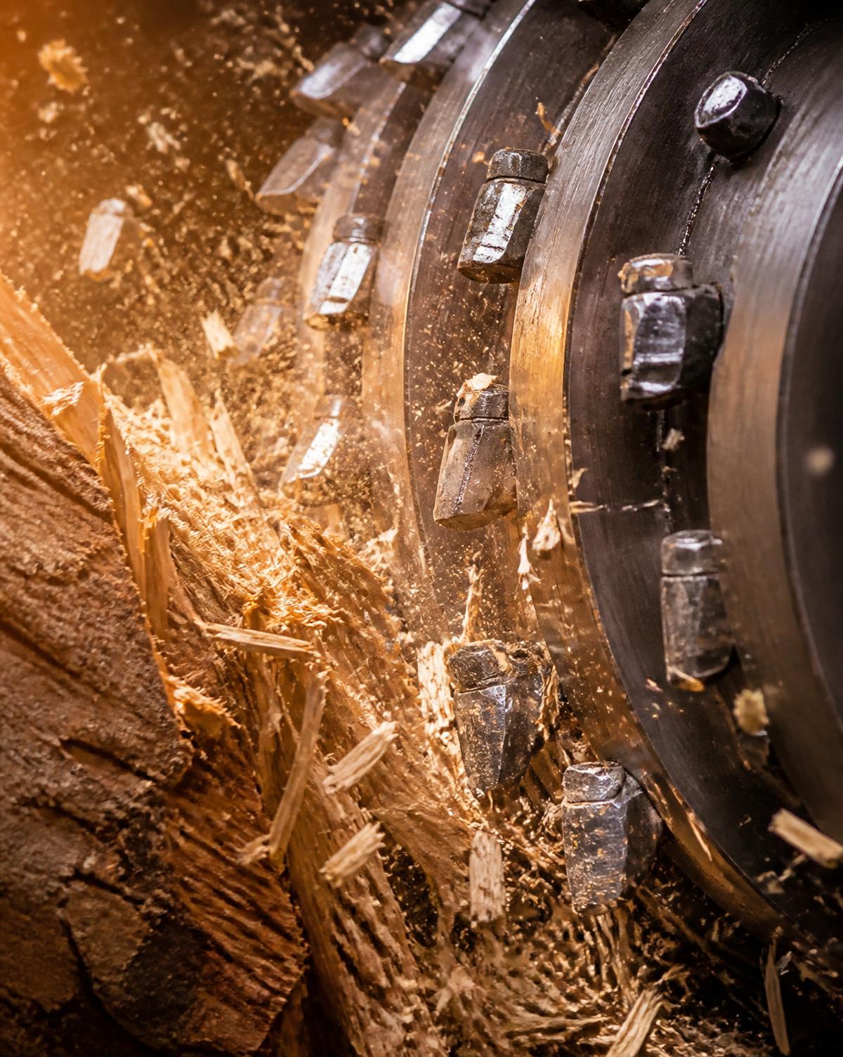 Carbide mulcher teeth shredding a tree trunk into wood chips